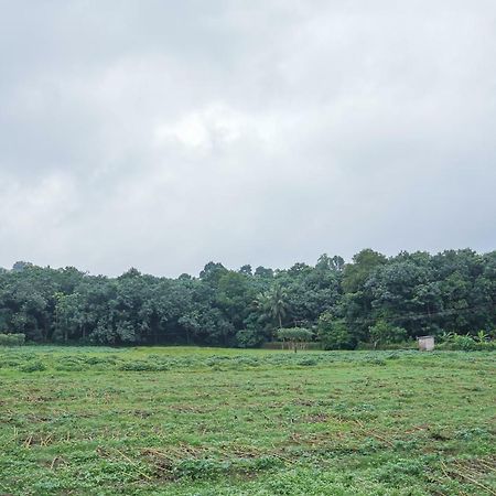 Thanal Premium Villa By - A Place To Call Your Home Muvattupuzha Exterior foto